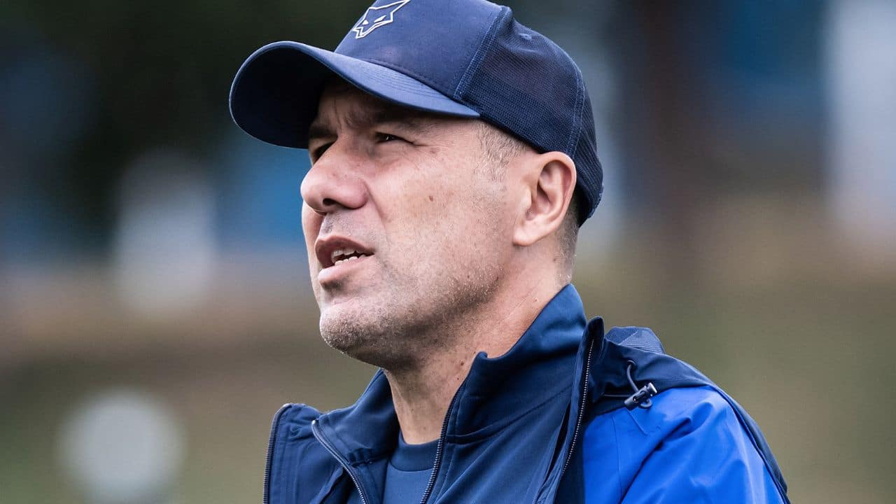 UFMG projeta Cruzeiro com vaga quase garantida na Libertadores 2026; veja os números